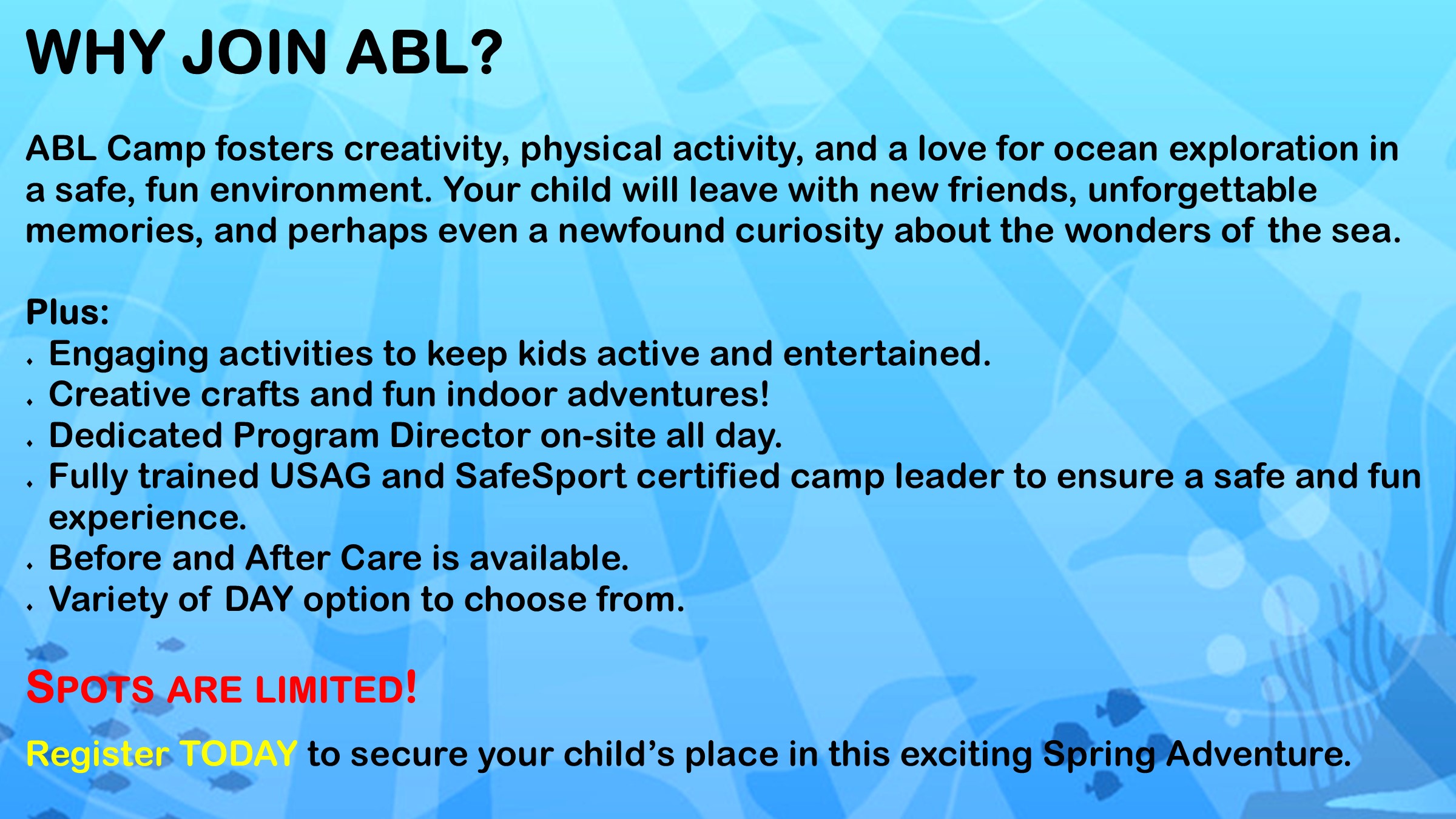 Spring Camp ABL